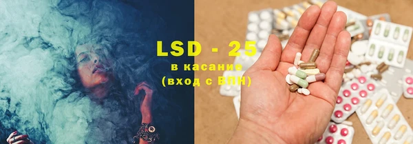 индика Алзамай