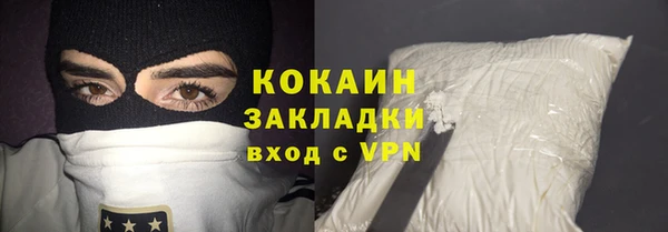 индика Алзамай
