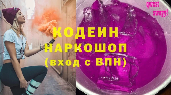 индика Алзамай