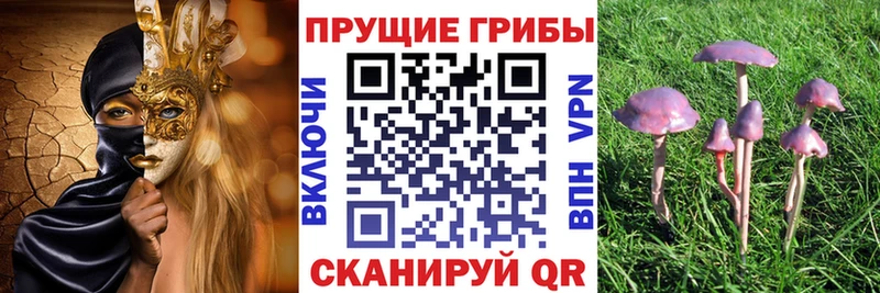 Псилоцибиновые грибы мухоморы Голицыно